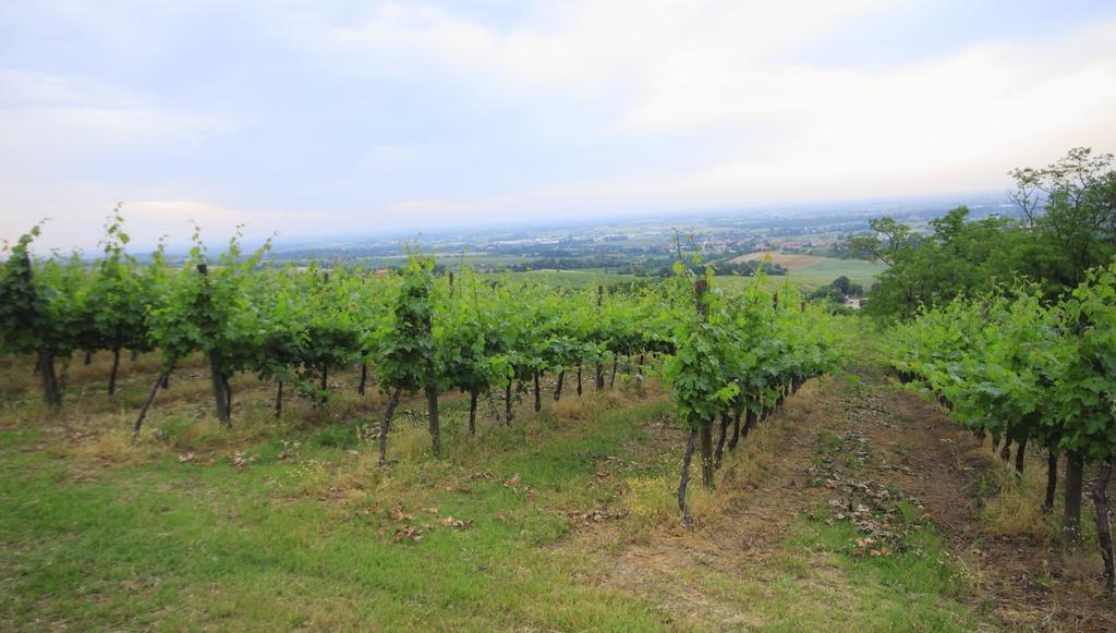 צולה פרדוסה Agriturismo Gaggioli Borgo Delle Vigne מראה חיצוני תמונה