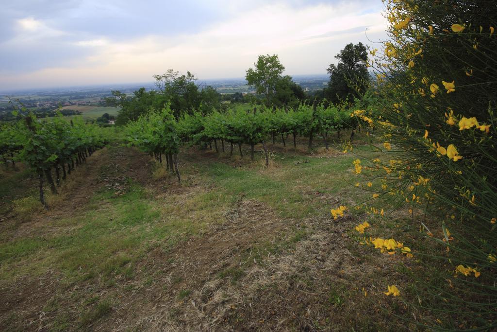 צולה פרדוסה Agriturismo Gaggioli Borgo Delle Vigne מראה חיצוני תמונה
