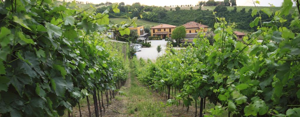 צולה פרדוסה Agriturismo Gaggioli Borgo Delle Vigne מראה חיצוני תמונה